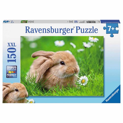 Dan&Dre Dan&Dre Kit modello di nave fai-da-te Kit