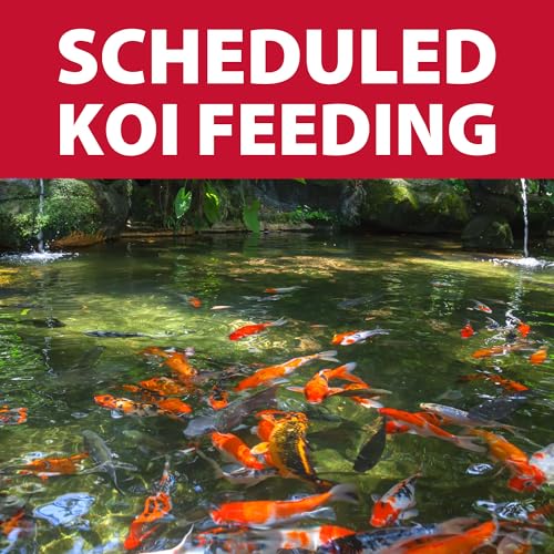 The Pond Guy KoiGrower Automatic Pond Fish Food Dispenser, Solar, Battery & AC Electric Power, Auto Timed Koi Pellet Feeder, 5 Gallon Feed Container