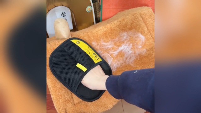 SHYSBV Fell Magnet Handschuhe 2er Set - Tierhaarentferner Für Katzen & Hunde