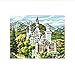 WYTTT Classico Puzzle 1000 Pezzi Puzzle per Adulti Puzzle di Legno Puzzle 3D Castello di Neuschwanstein Paesaggio DIY Regali di Natale Decorazioni per La Casa 75X50Cm