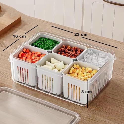 Image of 6-Grid Plastic Fridge Storage Boxe with Lid Freezer Containers Kitchen | Vegetable, Ginger, Garlic Removable Drain Plate & Airtight Lid | Transparent & Space-Saving, BPA-Free Food Box