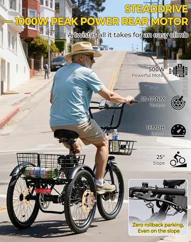 Skeri Electric Trike, 500W(Peak 1000W) Electric Tricycle for