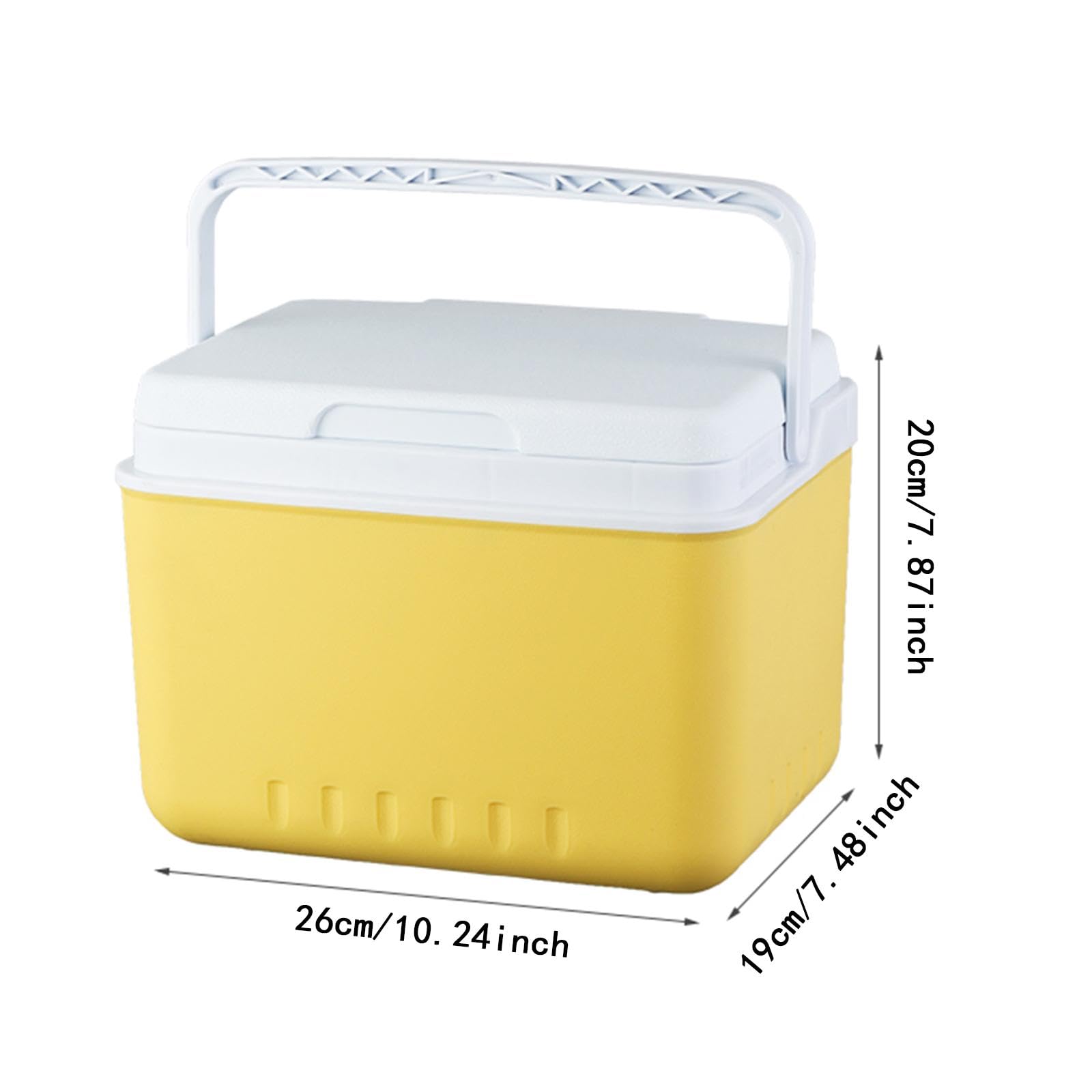 Nevera Portátil Isotérmica, Organizador, Contenedor, Refrigerador, Cubo para Bebidas, Estuche para Camping, Pesca Y Barbacoa.