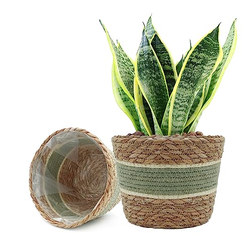 2 Stück Hängekörbe Aus Jute – Baumwollseil Blumentopf-Übertöpfe Für Deko & Aufbewahrung