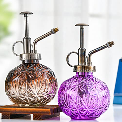 SLDHFE Plant Mister, 200ML Glas Plant Mister Spray Fles Vintage Spray Fles met Top Pomp Kleine Decoratieve Spritzer Gieter Indoor Plant Sproeier Mister voor Indoor Outdoor Plant - Afbeelding 5