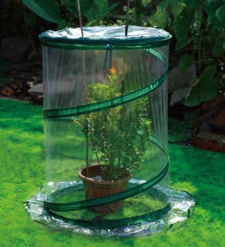 Zenport SH3240-10PK Pop-Up Greenhouse Protects Shrubs Small, Box of 10