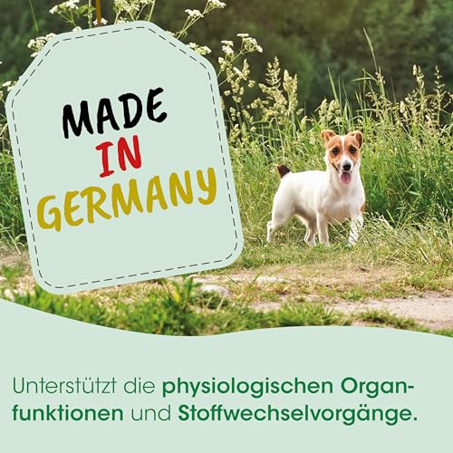 cdVet MicroMineral Hund & Katze 1000g - Nahrungsergänzung für Haustiere mit Mineralstoffen und Spurenelementen wie Magnesium und Calcium sowie Vitaminen