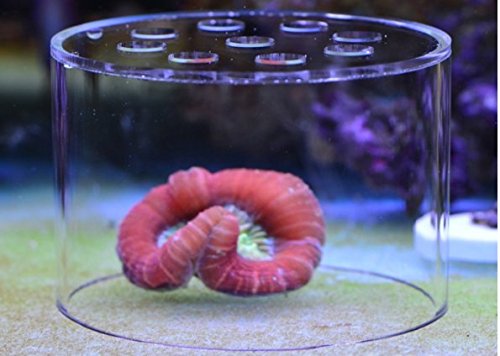 Soft Coral Feeding Breeding Protection Cover, Protect The Coral Food not be Lost