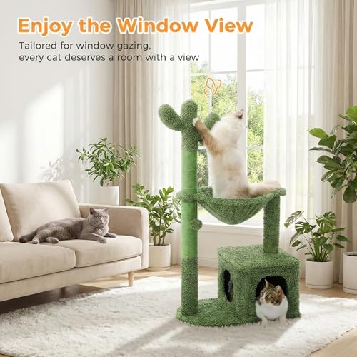 MUTTROS 40" Cactus Cat Tree with Hammock, Condo & Sisal Post, Green by MUTTROS - Used condition - US$44.49