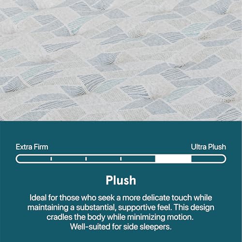 Image of Beauty Sleep DreamRest Plush 13.75 inch Queen Mattress