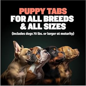 Bully Max 2in1 Puppy Vitamins  30 Chewable Tablets for Development and Growth of Puppies  Dog Vitamin Tablet Supplements for Small Dogs Large Breed Pups and Growing Dogs feed 12 Tabs Per Day  Cucciolini Doodles Bully max 2 in 1 puppy vitamins  30 chewable tablets for development and growth of puppies  dog vitamin tablet supplements for small dogs large breed pups and growing dogs feed 1 2 tabs per day   cucciolini doodles