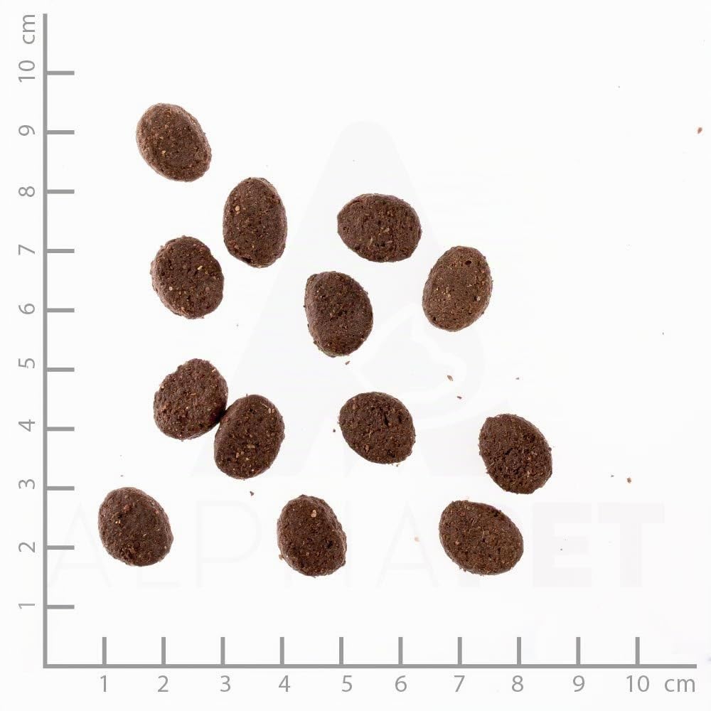 WILDES LAND – Wild | Trockenfutter mit extra hohem Fleischanteil und natürlichen Zutaten für ausgewachsene Hunde. Alleinfutter ohne Zusatzstoffe im Beutel | 12kg Wild