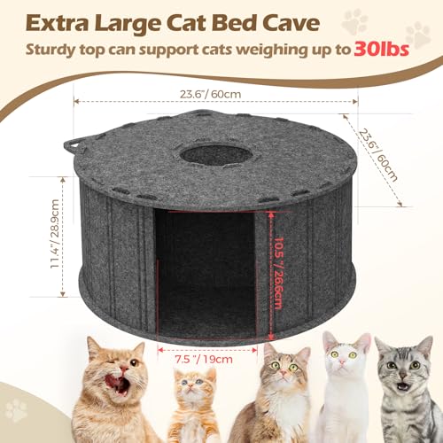 image for ComSaf Cat Donut Tunnel Bed - Peekaboo Cat Cave Bed for Indoor Cats, L