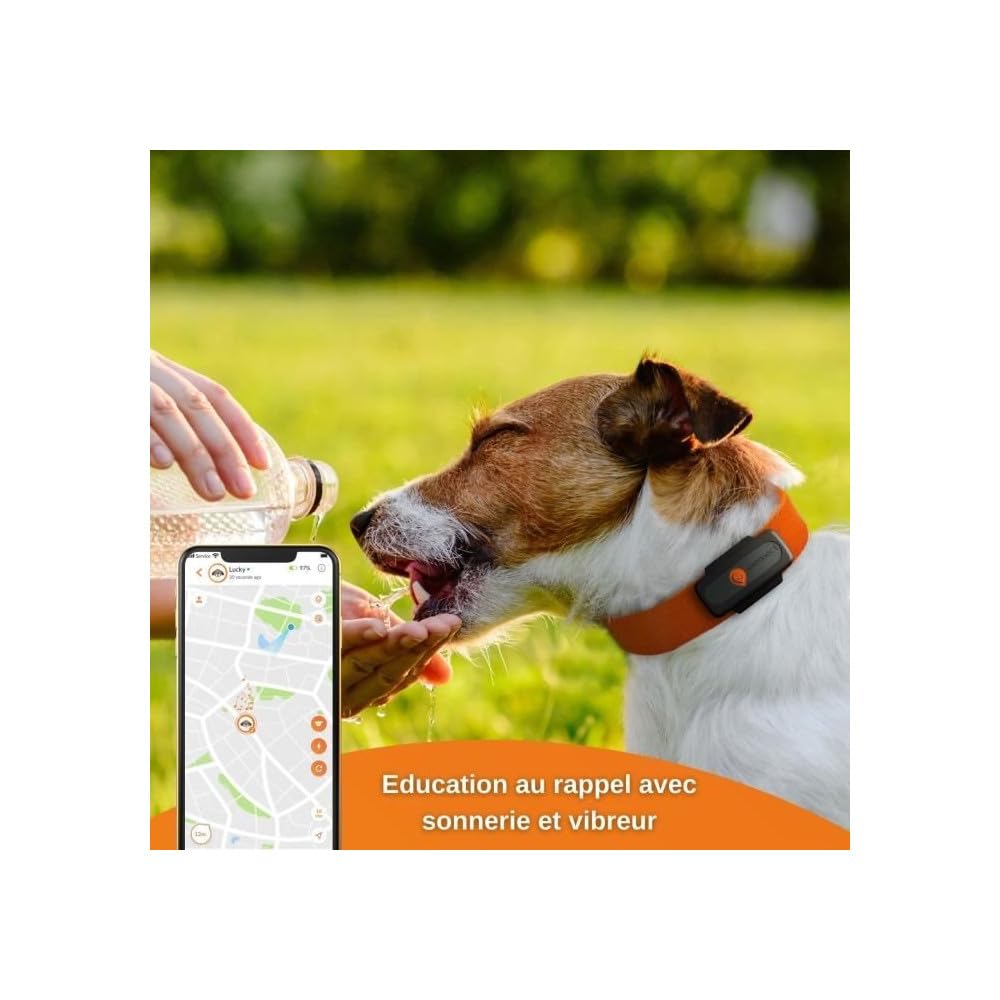 Weenect XS - Collier GPS pour chien (Black Edition 2023) | Suivi GPS en temps réel | Plus petit modèle du marché | Garantie à vie | Fonctionne avec abonnement