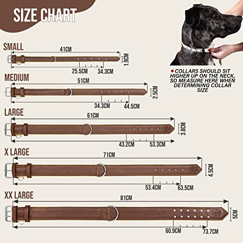 Riparo Echtes Leder Verstellbares Hundehalsband mit Zusätzlicher Verstärkung (L: 3,8CM Breit für 43,2CM - 53,3CM Hals, Braun)