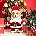 Hundekostüme Weihnachten, Haustier Weihnachtskostüm, Katze Hund Weihnachtskostüm mit Mütze Weihnachtsmann, für Welpen Kätzchen kleine Hunde Haustiere, Katze Hund Cosplay (M)