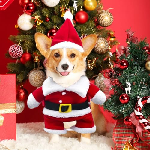 Hundekostüme Weihnachten, Haustier Weihnachtskostüm, Katze Hund Weihnachtskostüm mit Mütze Weihnachtsmann, für Welpen Kätzchen kleine Hunde Haustiere, Katze Hund Cosplay (M)