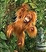 Folkmanis Baby Orangutan Hand Puppet, Orange-Brown