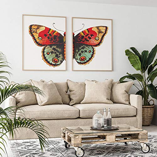 Affiche papillons vintage 60x90cm lot de 2 toiles murales rétro pour salon
