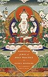 The Essential Jewel of Holy Practice