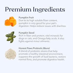 Honest Paws Probiotics for Dogs – Dog Digestion Gut Health Probiotic Powder with Prebiotic Made in The USA, Digestive and Immune Support – Digestive Enzymes with Pumpkin Flavor (30 Sticks)