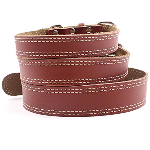 Collar de cuero para perros pequeños - Marrón miniatura 3