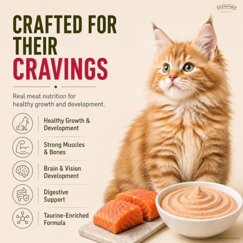 Image of Grain Zero Kitten Wet Mousse 80g Pack of 5, 400g | Salmon Flavour | Rich in Protein, Hydrating & Easy to Digest | Taurine for Heart & Vision Health | with Essential Vitamins & Antioxidants
