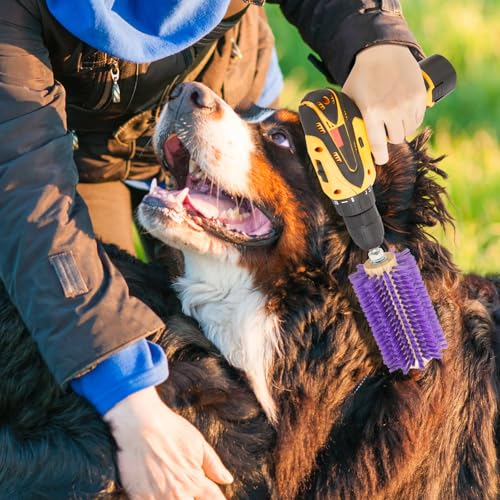 Willinglong 2 peças de mini broca para animais de estimação, kit de escovação roxa adequado para gad