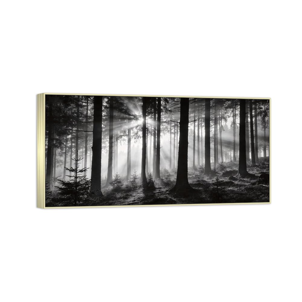 Forest Tree Black White Landscape Canvas Picture 60x120cm Silver Frame