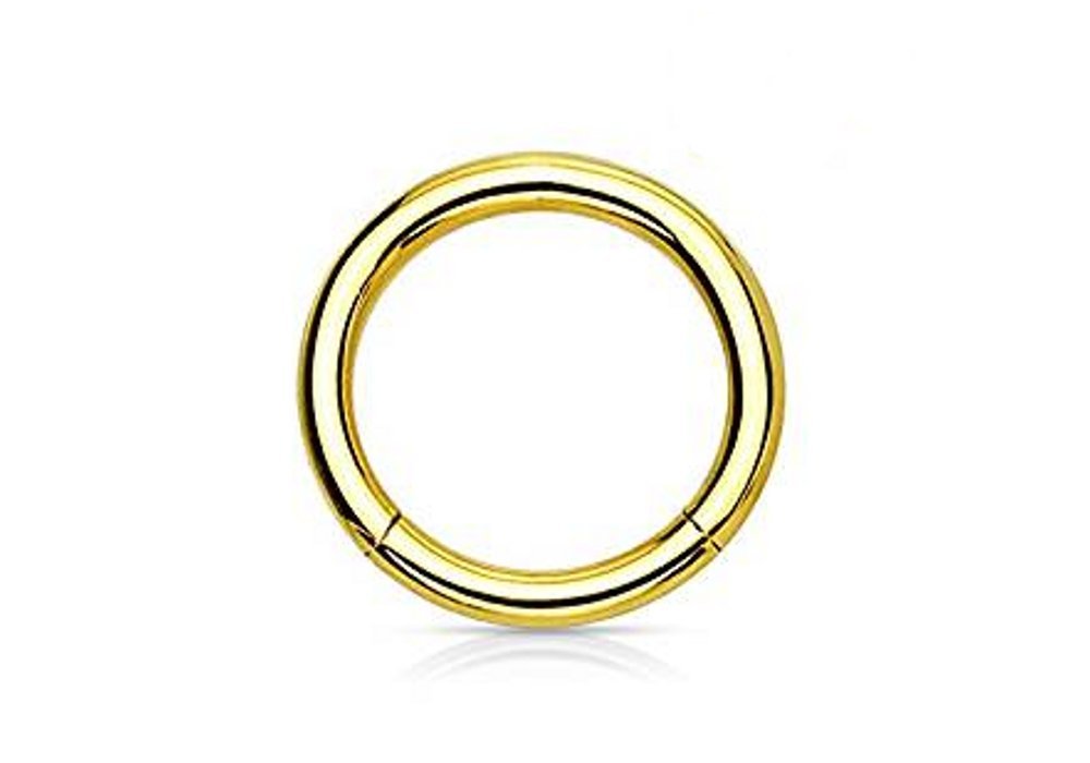 Gold Coloured Steel Hinged Segment Ring - 1.6mm x 12mm - Pierced & Modified Body Jewellery