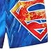 WARNER BROS Superman Boys UPF 50+ Swim Trunks Shorts Bathing Suit for Big Kids Blue