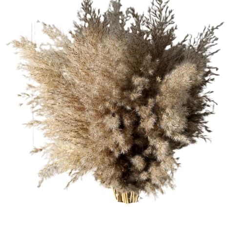 Ramo de pampas seco grande 15 piezas mezcla esponjosa miniatura 1