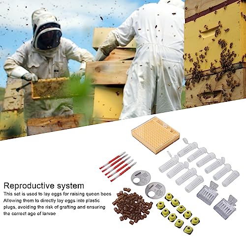 Fdit Kunststoff-Zuchtsystem für Bienenköniginnen, Imkerei-Pfropfset, Gelee-Royal-Quetschstift, Kulturbox, Zellbecher, Königin-Käfig-Fänger-Clip, Zubehör für Bienenzucht-Pfropfwerkzeuge