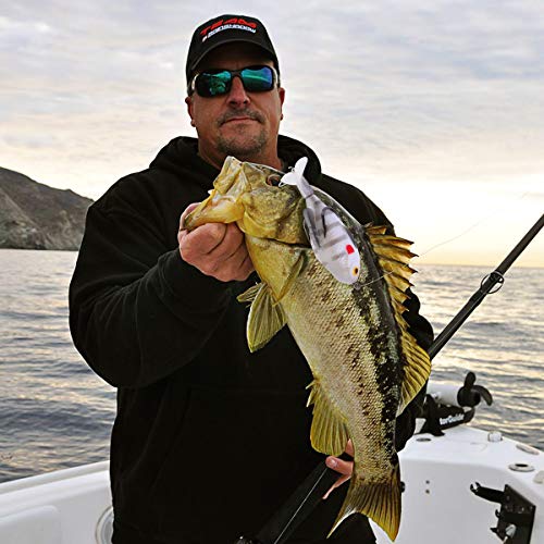 ABOOFAN 1Pc Simulação Isca Isca macia de água do mar Iscas de pesca de água doce