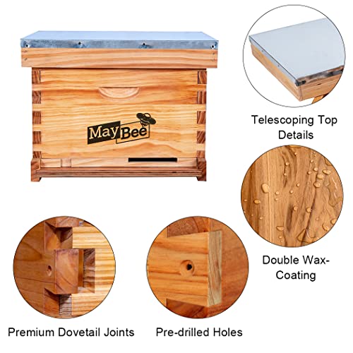 Beehive Starter Kit 10-Frame Bee Boxes And Frames Starter Kit Wax Coated Bee Hives And Supplies Starter Kit Including Beekeepig Tools Kit With Beekeeping Veil #TOP1
