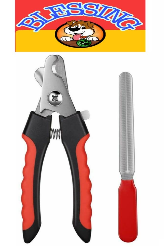 See full amazon price history chart for Pet/Dog/Cat Professional Stainless Steel Nail Clipper with foil/Scissor/Cutter/Grinder/Trimmer Pet/Dog/Cat Professional Stainless Steel Nail Clipper with foil/Scissor/Cutter/Grinder/Trimmer (B0BN823XYS) Amazon Price History, Amazon Price Tracker
