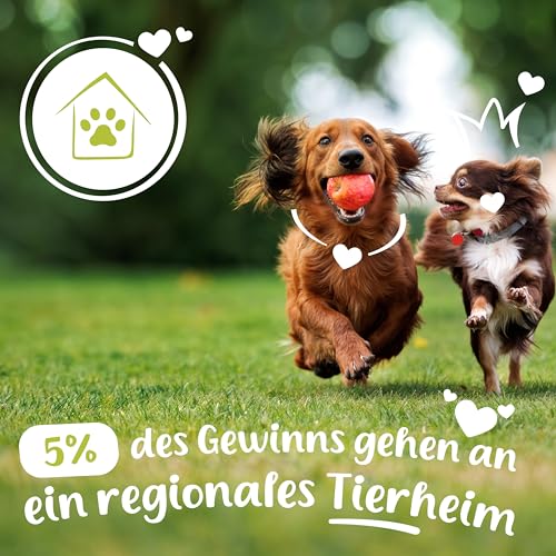 FeiniFit Vitamin B Komplex Hund Tropfen 100 ml – flüssige B-Vitamine für Hunde, leichte Einnahme statt Tabletten, B Vitamine Hunde (B1–B12) für einfache tägliche Versorgung, Made in Germany
