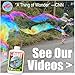 Bubble Big As Whales! Giant Bubbles Solution - Mix 7.0 Gallons & Save - BUBBLETHING Original