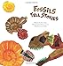 Fossils Tell Stories (Science Storybooks: Fossils)