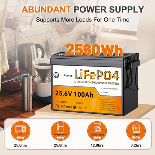 Image of 2 Pack 24V 100Ah LiFePO4 Battery, Built-in 100A BMS,2560Wh Lithium Battery,4000-15000 Deep Cycles & 10-Year Lifetime, Perfect for Marine, RV, Marine, Trolling Motor, Solar Off-Grid System
