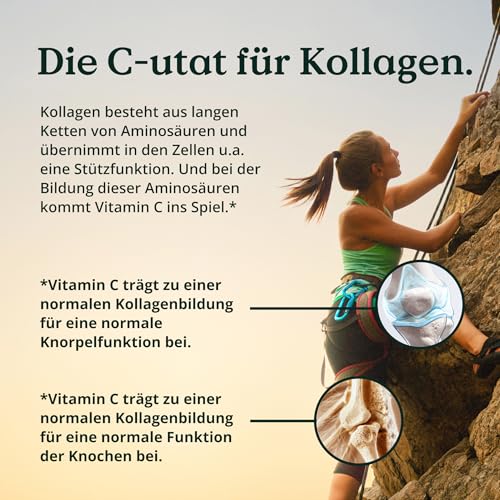 NATURE LOVE® MSM 2000mg mit Vitamin C - 365 laborgeprüfte Tabletten - Kompakteres MSM Pulver als bei Kapseln - Ohne Zusätze, hochdosiert, vegan, in Deutschland produziert