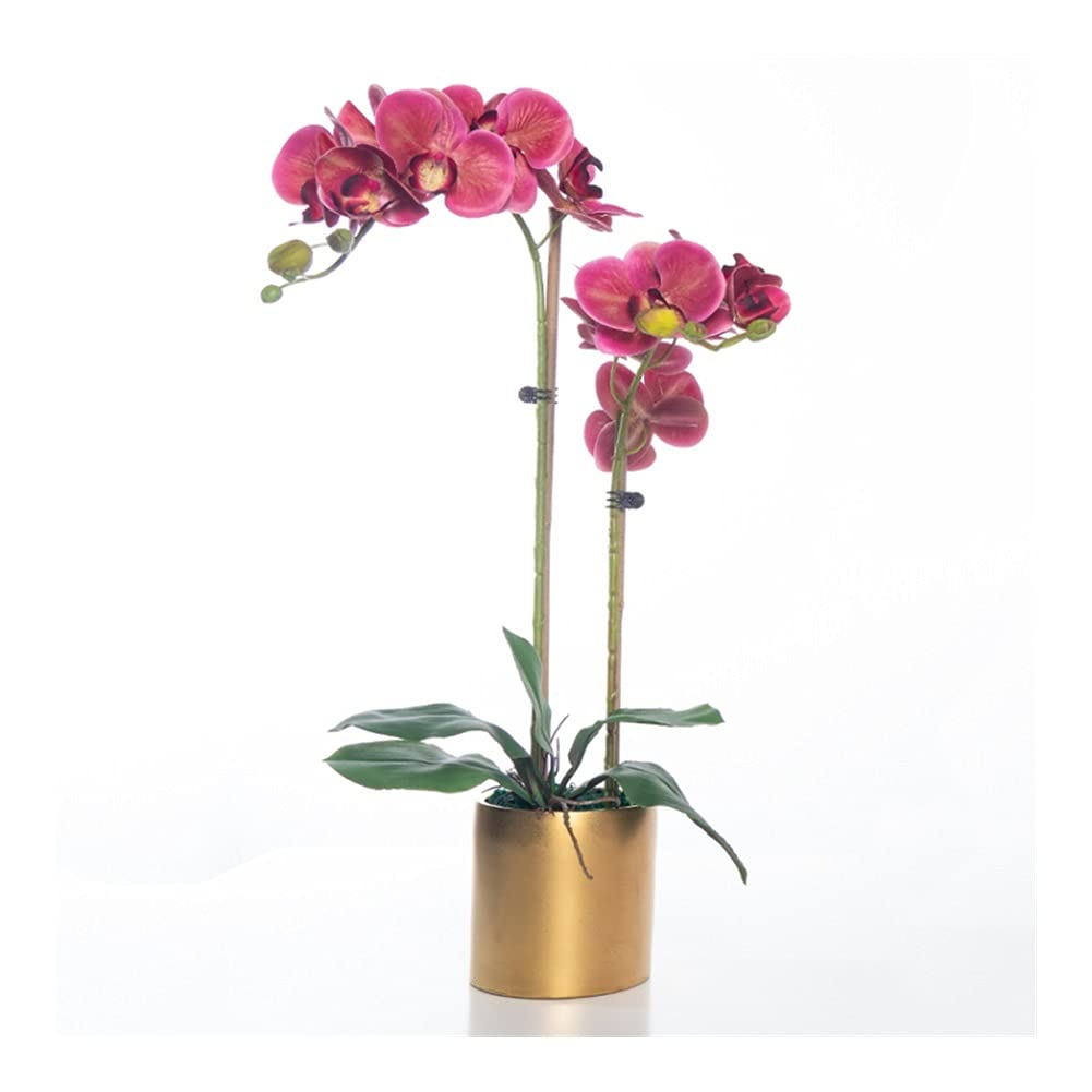 Sbziojhdr F Artificial Lowers, Decor Artificial Lowers With Vase Phalaenopsis Orchid Bonsai Pu Ake With Or Home Table Aux Lowersa(F)