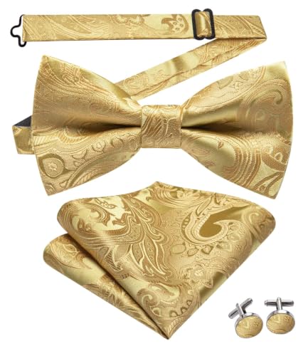 Image of Dubulle Mens Paisley Striped Bowtie Set Pre-tied Bowtie for Men and Pocket Square Set Wedding Business