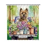 GABSHAIM Custom Cairn Terrier Flowers Spring Summer Shower Curtain Funny Dog Drive a Truck in Forest Bath Curtain Bathroom Home Decor 72x72 Inch Style 2