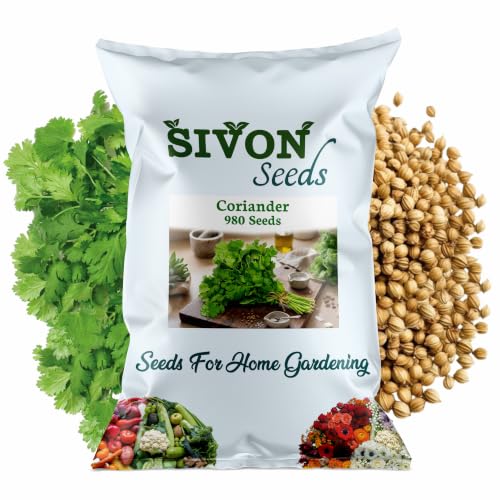 Image of SIVON Coriander (Dhania) (980+ Seeds) Vegetable Seeds for Home Garden, Organic & Hybrid, Perfect for Home Gardening, Planting For Pots and Patio