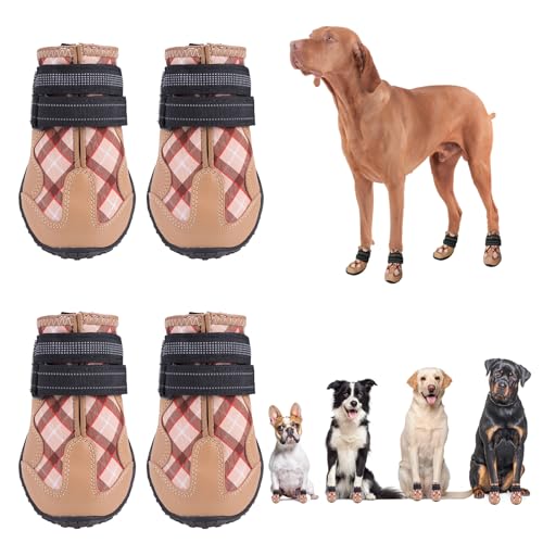 Dog Boots for Hot Pavement The 15 best products compared Wild Explained