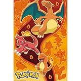 Poster Maxi Pokémon Type Feu