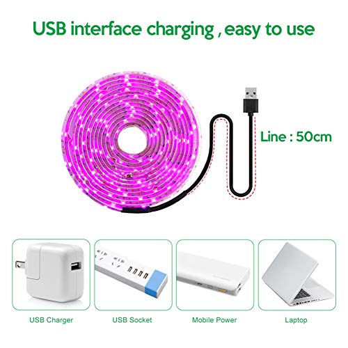 Dellefuture Striscia LED USB, 2/3 / 5m 5V