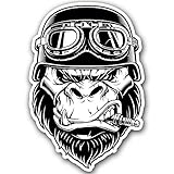 Gorilla Biker Sticker for Car Vinyl Decal Window Truck Car Bumper Sticker Motorcycle 4 х 2.75 in.