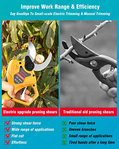 Canbrake Cordless Electric Pruning Shears,Professional Brushless Tree Branch Pruner Electric Pruner Branch Cutter,1.6 Inch(40Mm) Cutting Diameter,2 X 2Ah 21V Lithium Battery,1 Blade,3 Wrench,2 Glove #TOP6